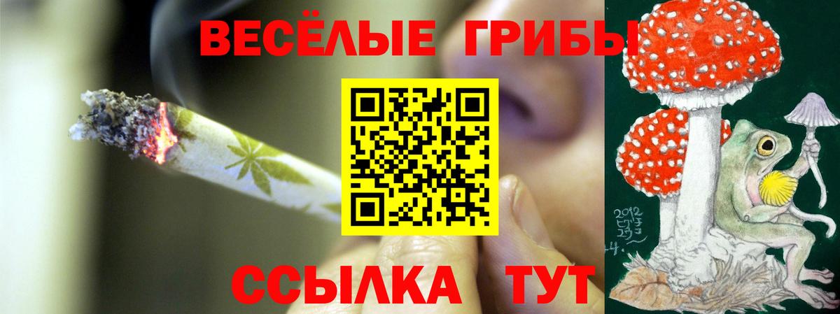 Псилоцибиновые грибы MAGIC MUSHROOMS  Вход с VPN  Кубинка 